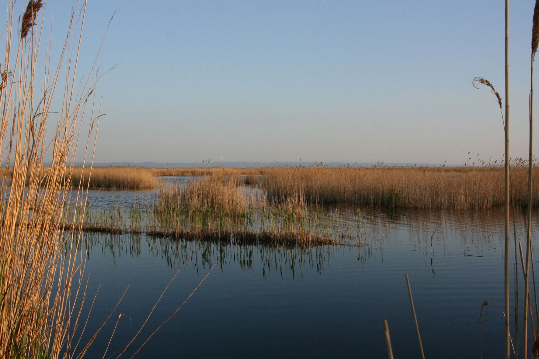 Neusiedler See Weinzettl