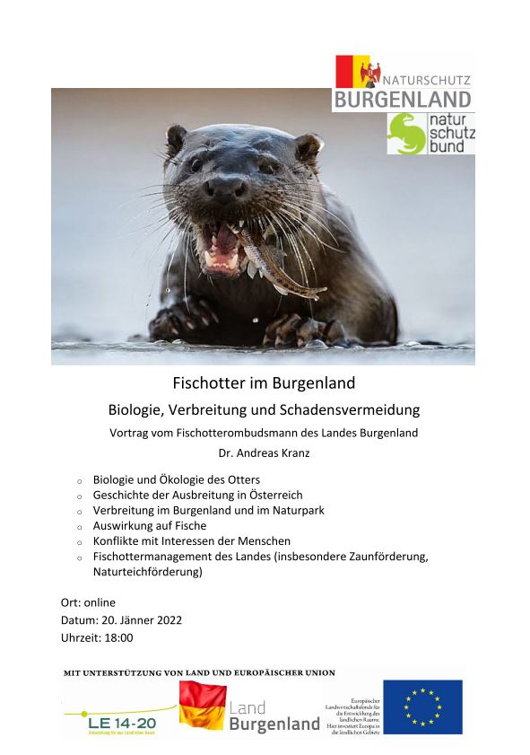 Onlinevortrag Fischotter im Burgenland 20.01.2022