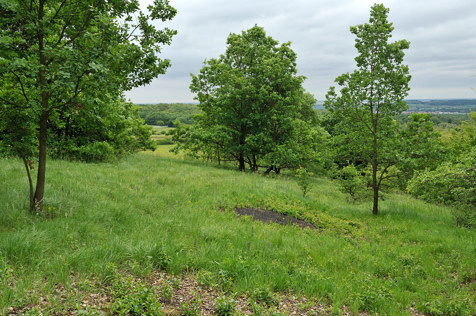 Schauerkreuz